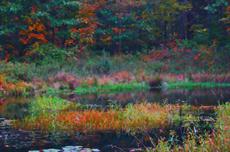 Poster print of quiet thoughts by the artist SH Photo Art